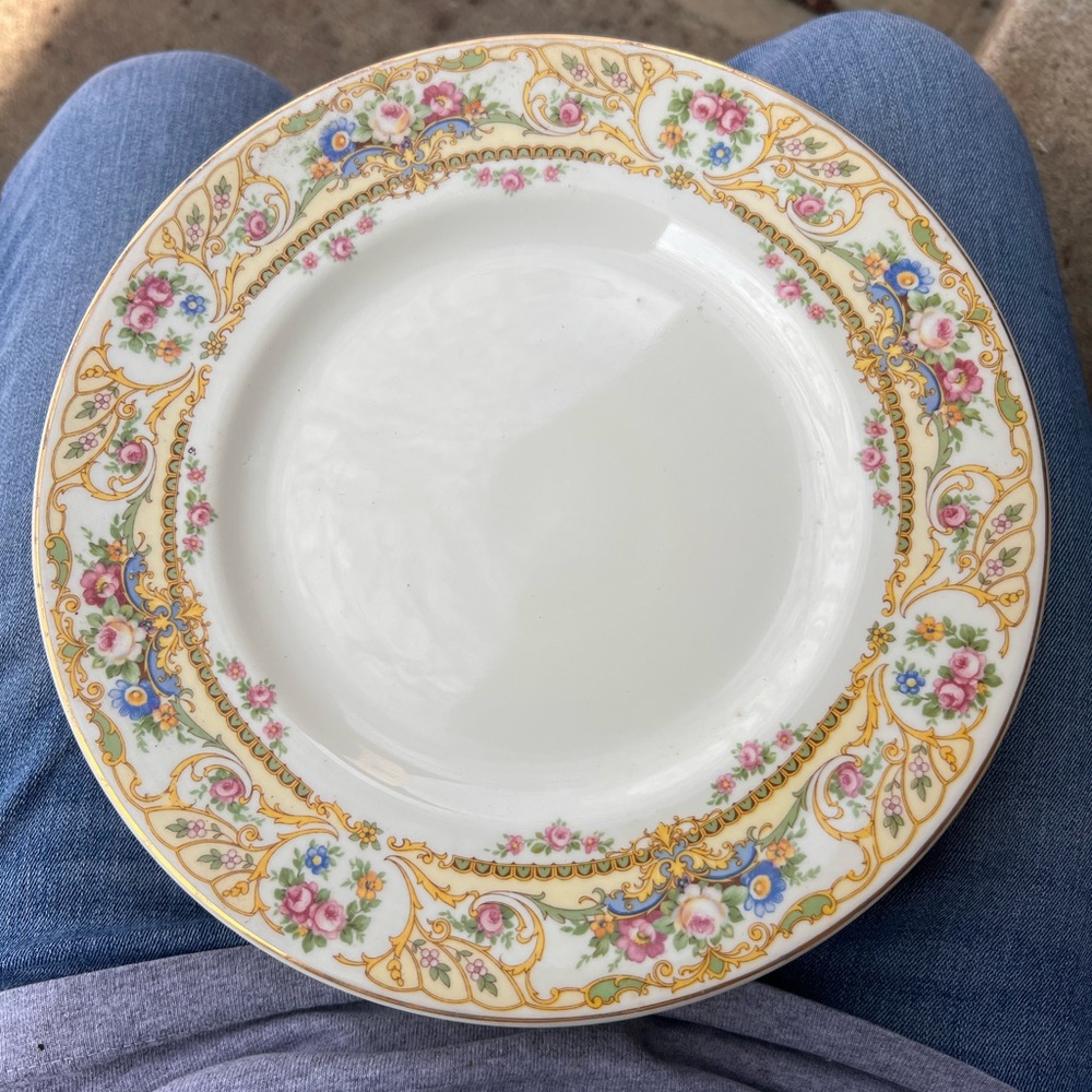 Vintage Syracuse China. Old Ivory. Rose Marie pattern.